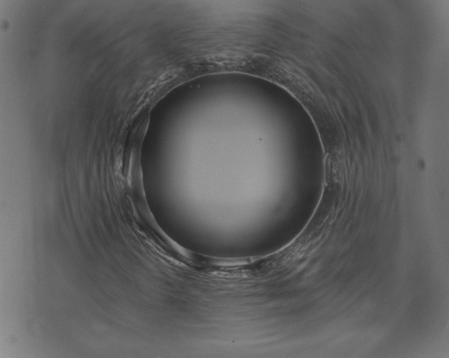 X0000073971298200608211220