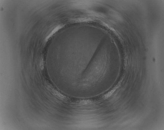 X0000073971306200608211220