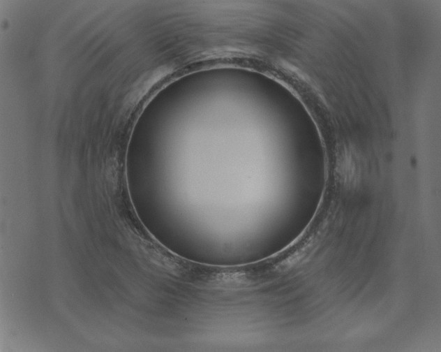 X0000073971313200608211220