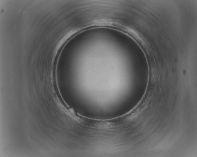 X0000073971331200608211220