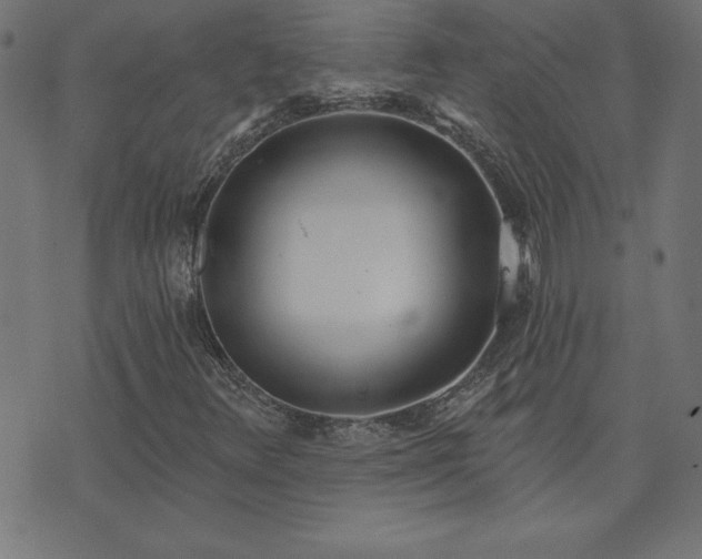 X0000073971348200608211220
