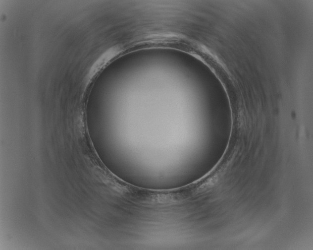 X0000073971362200608211219