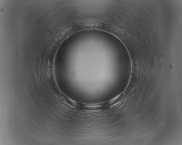 X0000073971394200608211218