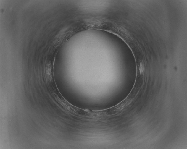 X0000073971396200608211218