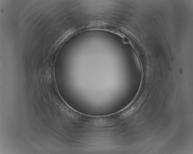 X0000073971401200608211218