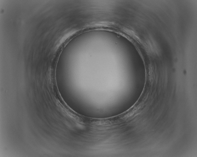 X0000073971404200608211218