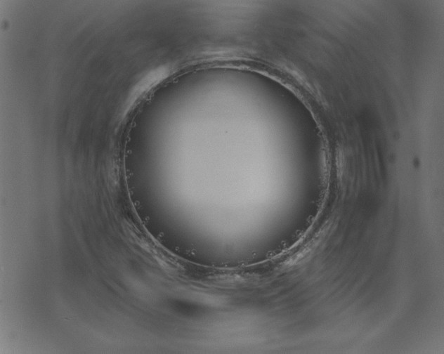 X0000073971405200608211218