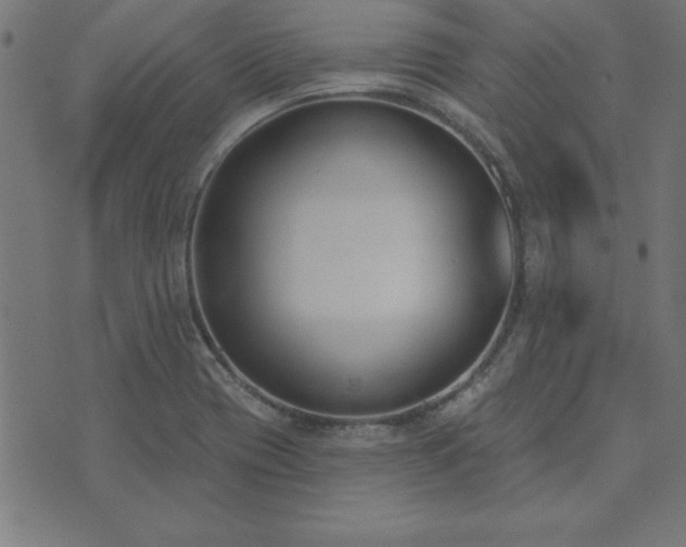 X0000073971417200608211219