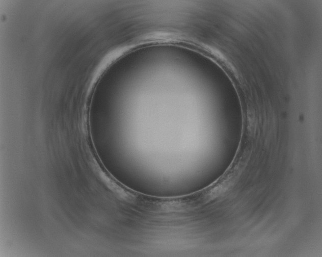 X0000073971421200608211219