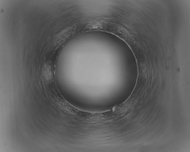 X0000073971442200608211218