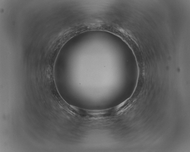 X0000073971445200608211218