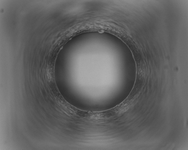 X0000073971490200608211217