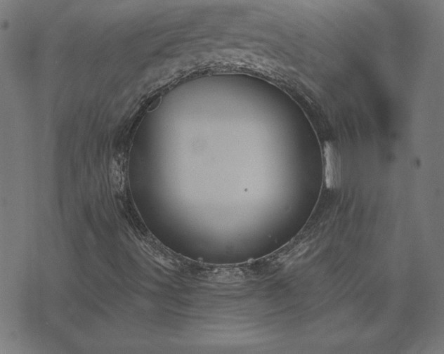 X0000073971491200608211217