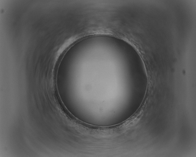 X0000073970008200608281225
