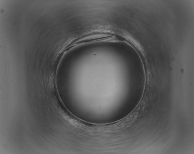 X0000073970009200608281225