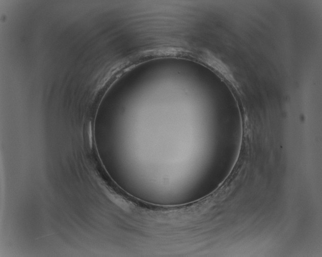 X0000073970013200608281225