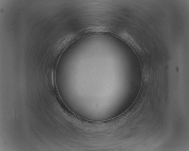 X0000073970014200608281225