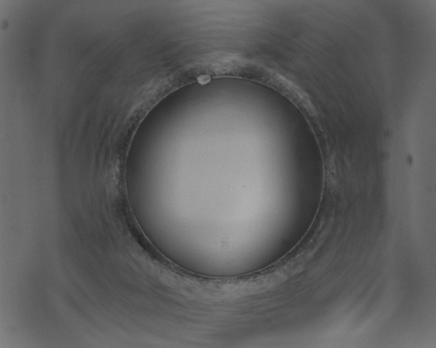 X0000073970018200608281225