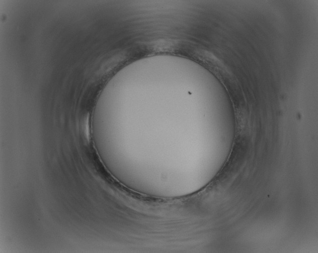 X0000073970028200608281225