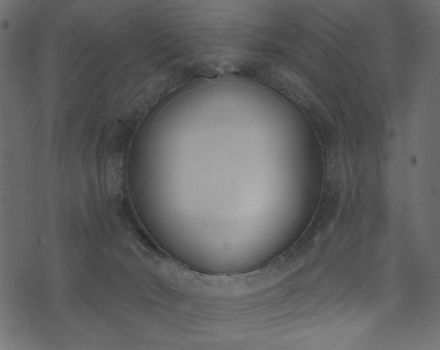 X0000073970030200608281225