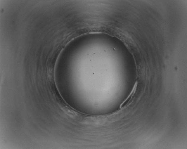 X0000073970033200608281225