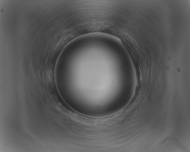 X0000073970035200608281224