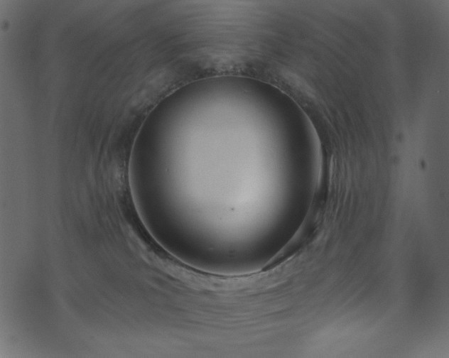 X0000073970039200608281224