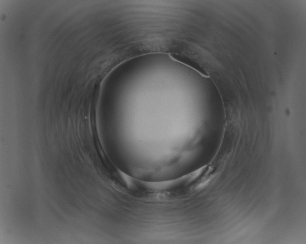 X0000073970080200608281224