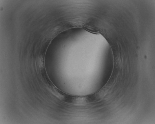 X0000073970081200608281224