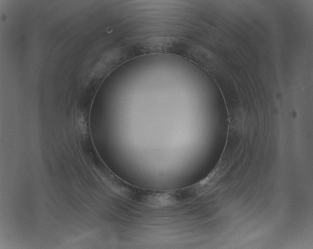 X0000073970086200608281224