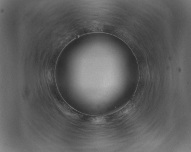X0000073970088200608281224