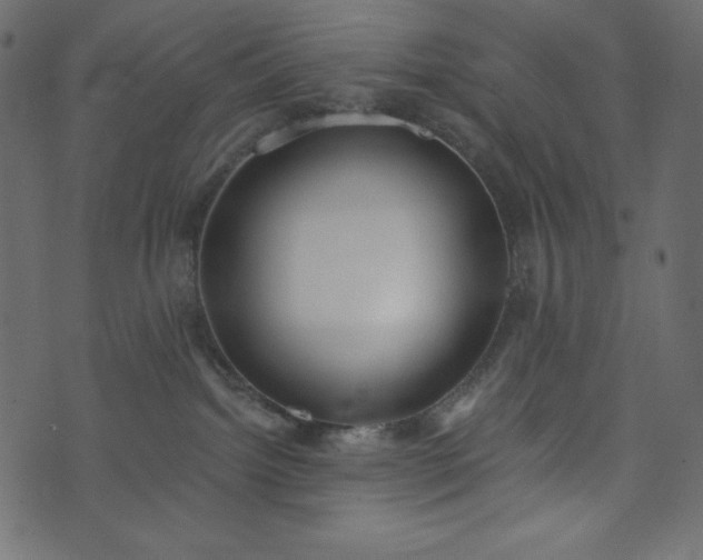X0000073970092200608281224