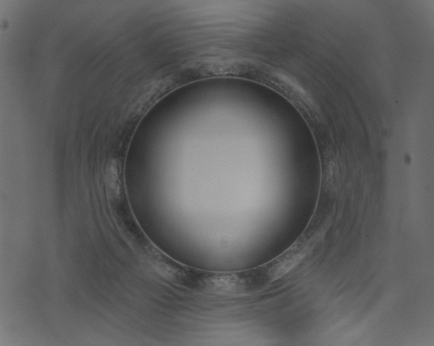 X0000073970121200608281223