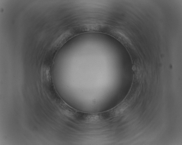X0000073970123200608281223