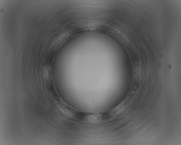 X0000073970126200608281223