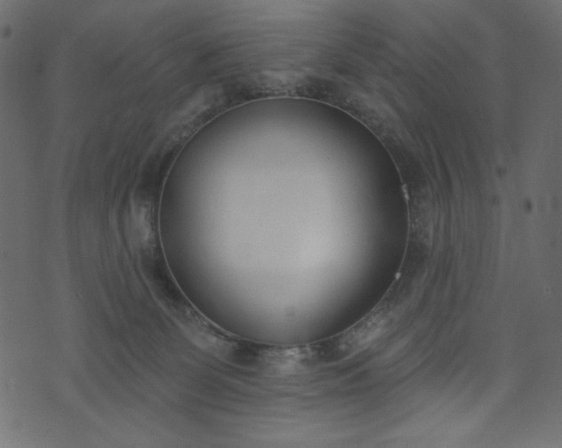 X0000073970131200608281223