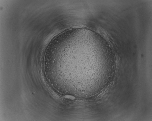 X0000073970145200608281222