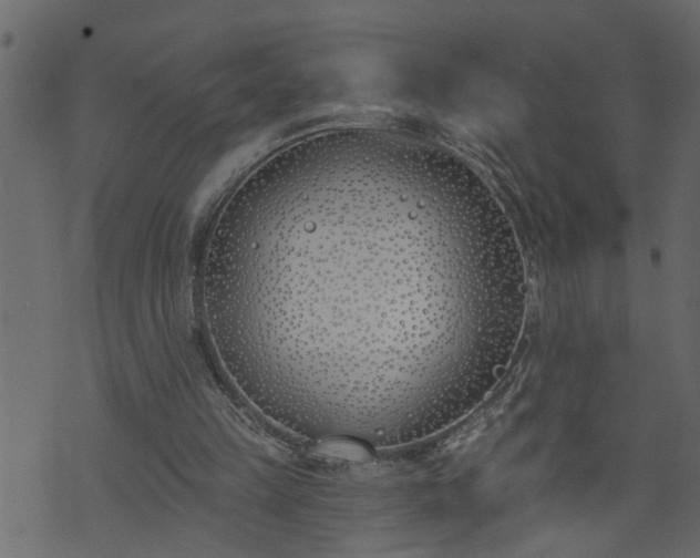 X0000073970149200608281222