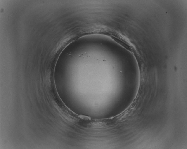 X0000073970154200608281222