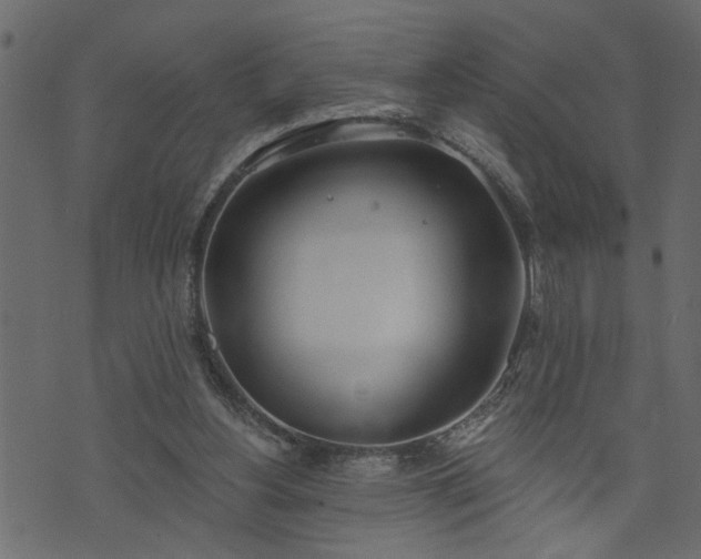 X0000073970156200608281222