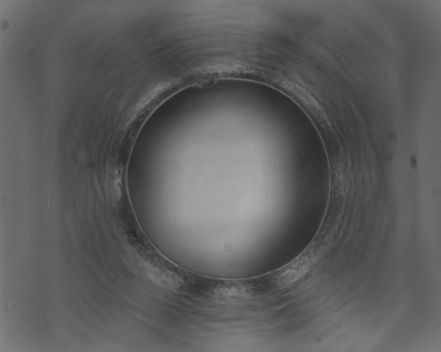 X0000073970160200608281222