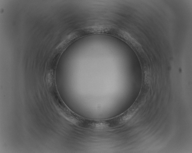 X0000073970165200608281222