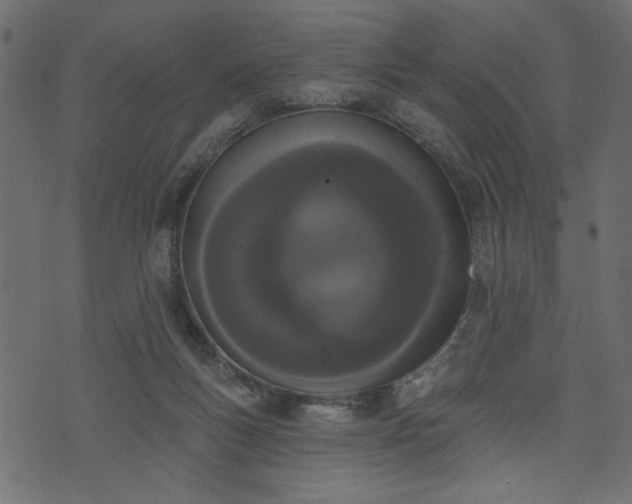 X0000073970167200608281222