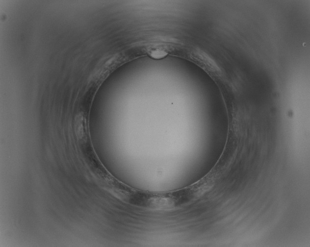 X0000073970169200608281222