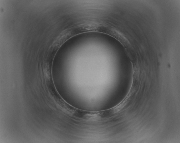 X0000073970170200608281222