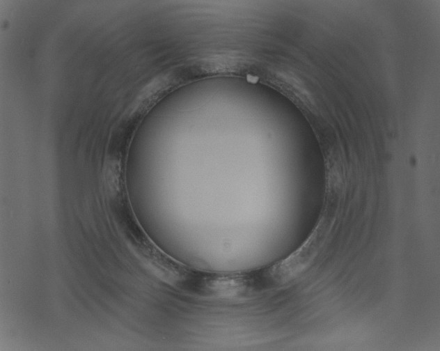 X0000073970171200608281222