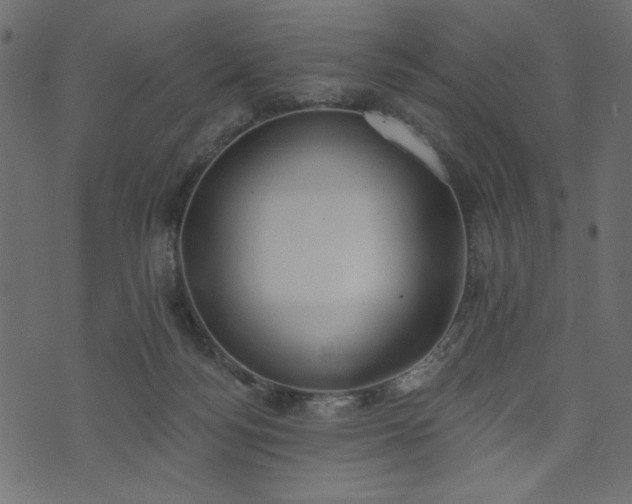 X0000073970172200608281222