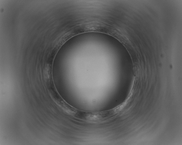 X0000073970174200608281222