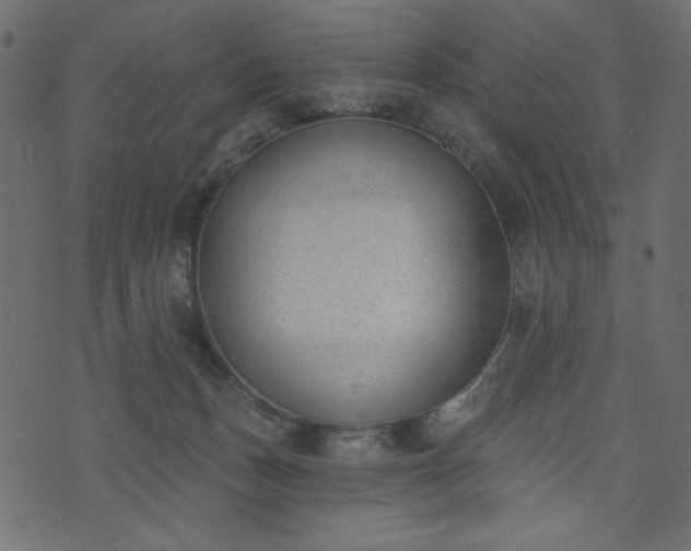 X0000073970175200608281222