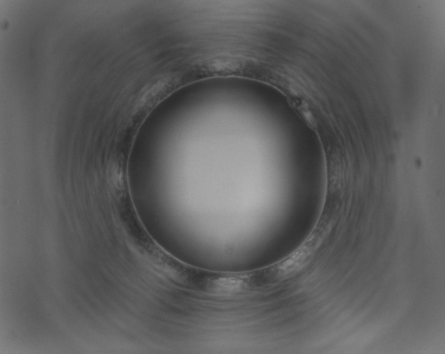 X0000073970176200608281222